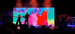 Alison Goldfrapp / Boy's Shorts on Feb 22, 2024 [355-small]