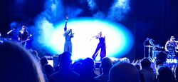 Alison Goldfrapp / Boy's Shorts on Feb 22, 2024 [357-small]