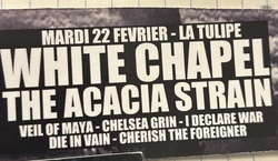 Whitechapel / The Acacia Strain / Veil of Maya / Chelsea Grin / I Declare War / Die In Vain / Cherish the Foreigner on Feb 22, 2011 [437-small]