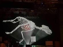 Rival Sons / The Sheepdogs on Feb 22, 2019 [098-small]
