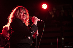 X / Los Straightjackets / Skating Polly on Dec 16, 2019 [430-small]