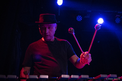 X / Los Straightjackets / Skating Polly on Dec 16, 2019 [432-small]