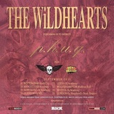 The Wildhearts / Baby Chaos / Hey! Hello! on Sep 24, 2015 [004-small]