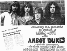 The Amboy Dukes / Sweet Younguns on Jul 15, 1969 [905-small]