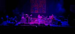 Happy Mondays / Inspiral Carpets / Stereo MCs on Mar 22, 2024 [383-small]