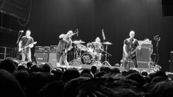 Circle Jerks / Descendents / Adolescents on Apr 2, 2024 [842-small]