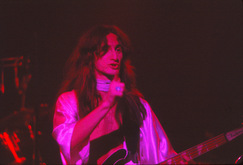 Rush / Tom Petty & the Heartbreakers on Nov 26, 1977 [286-small]