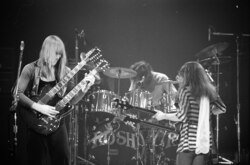 Rush / Max Webster / Cheap Trick on Mar 11, 1977 [324-small]