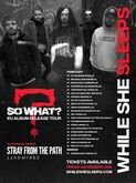 While She Sleeps / Stray From The Path / Trash Boat / Landmvrks on Feb 9, 2019 [043-small]