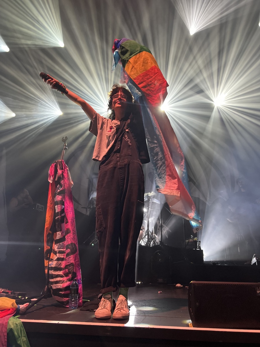 Cavetown Concert & Tour History (Updated for 2024 2025) Concert