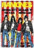 Delilahs'77 / Animal Boys / Möped Lads / The Fags on Aug 16, 2014 [232-small]