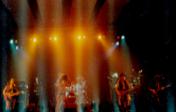 Litfiba on May 21, 1991 [225-small]