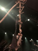 Heilung on Apr 15, 2024 [239-small]