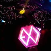 EXO on Aug 24, 2019 [532-small]