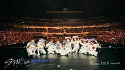 Stray Kids on Apr 27, 2019 [707-small]