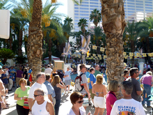 tags: Las Vegas, Nevada, United States, Crowd, Flamingo Beach Club Pool - Tommy Rocker on Oct 20, 2012 [149-small]