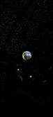 Alina on Apr 5, 2024 [037-small]