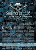 Summer Breeze Open Air 2011 on Aug 17, 2011 [557-small]