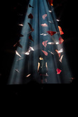 Mitski / Miya Folick on May 8, 2024 [824-small]