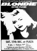 Blondie / Ferrets on Dec 17, 1977 [034-small]