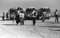 Mojave Exodus / Savage Republic / Minutemen on Apr 24, 1983 [594-small]