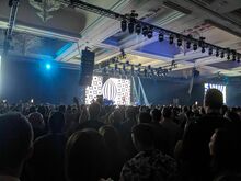Pitbull on May 9, 2024 [622-small]