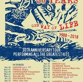 Poster, Levellers / Sean McGowan on Nov 7, 2018 [330-small]