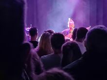 Newton Faulkner on May 12, 2024 [573-small]