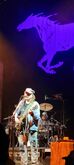 Neil Young & Crazy Horse / Reverend Billy and the Church of Stop Shopping on May 12, 2024 [141-small]