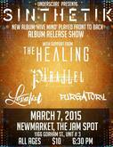 Sinthetik / The Healing / The Parallel / Loyalist / Punisher on Mar 7, 2015 [861-small]