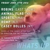 Robins / Animal Flag / Sports. / Casey Bolles / ROMP on Jun 17, 2016 [697-small]