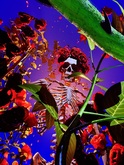 Dead & Company on May 18, 2024 [949-small]