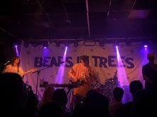 Bears In Trees on May 19, 2024 [609-small]