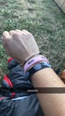 Festival Les Vieilles Charrues on Jul 15, 2017 [913-small]