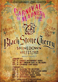 Black Stone Cherry / Shinedown / Halestorm / Highly Suspect on Jan 29, 2016 [702-small]