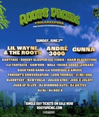 The 16th Annual Roots Picnic - Day 2 on Jun 2, 2024 [049-small]