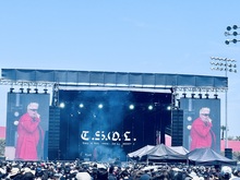 No Values Festival on Jun 8, 2024 [369-small]