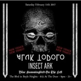 Aluk Todolo / Blue Hummingbird on the Left / Insect Ark on Feb 11, 2017 [457-small]