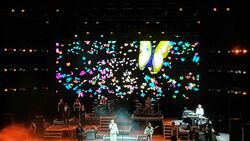 James / Razorlight on Jun 8, 2024 [382-small]