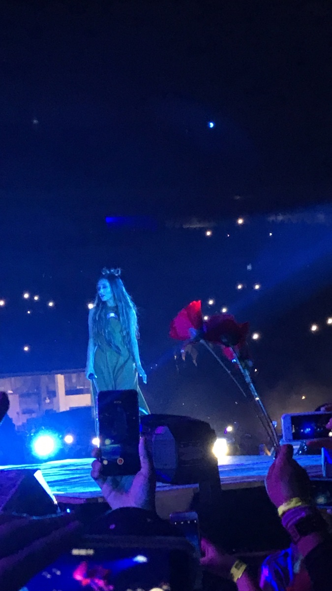 WHAT HAPPENED IN 2017 ARIANA GRANDE CONCERT visual data 5