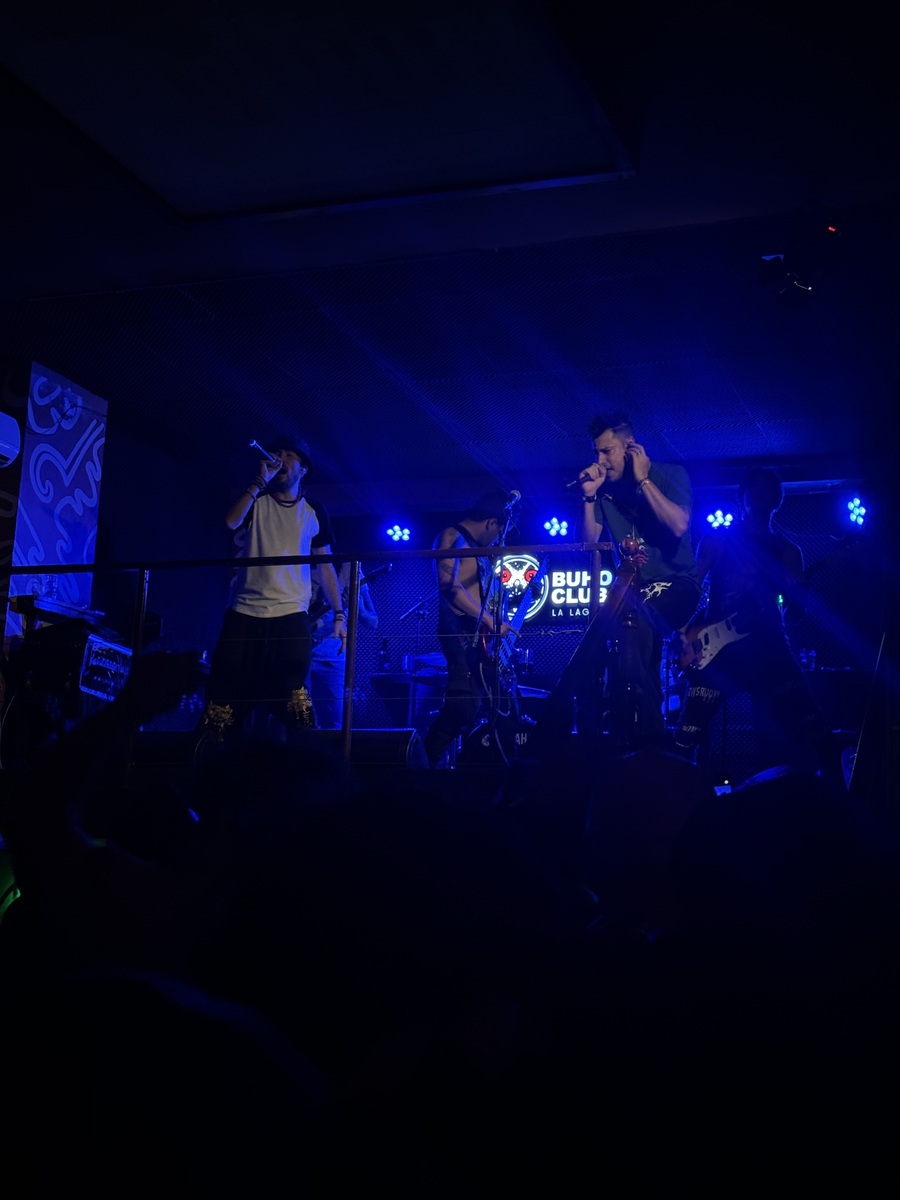 Linkoln Park (Linkin Park Tribute Band) Concert Photos Concert Archives