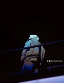 Bad Bunny on May 21, 2024 [158-small]