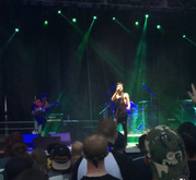 Riot Fest Denver 2016 on Sep 2, 2016 [257-small]