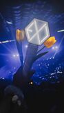 SUHO (EXO) / SUHO Band on Jun 22, 2024 [587-small]