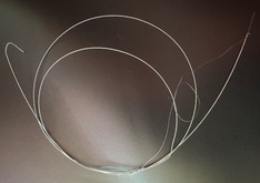 Weasel's broken string, tags: Gear - Melt-Banana / The Flying Luttenbachers / babybaby_explores / Tomato Flower on Jun 6, 2024 [915-small]