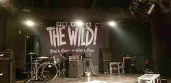 The Wild! on Oct 31, 2018 [061-small]