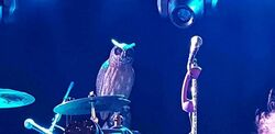 The Night Flight Orchestra / Black Mirrors on Dec 19, 2018 [142-small]