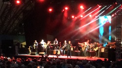 Tom Jones / AJ Brown on Jun 26, 2016 [829-small]