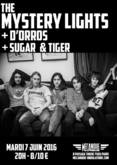 Sugar & Tiger / D'Orros on Jun 7, 2016 [873-small]