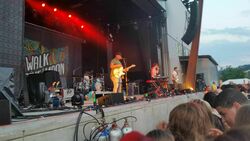 Magic Man / Panic! At the Disco / Walk the Moon on Aug 1, 2014 [459-small]